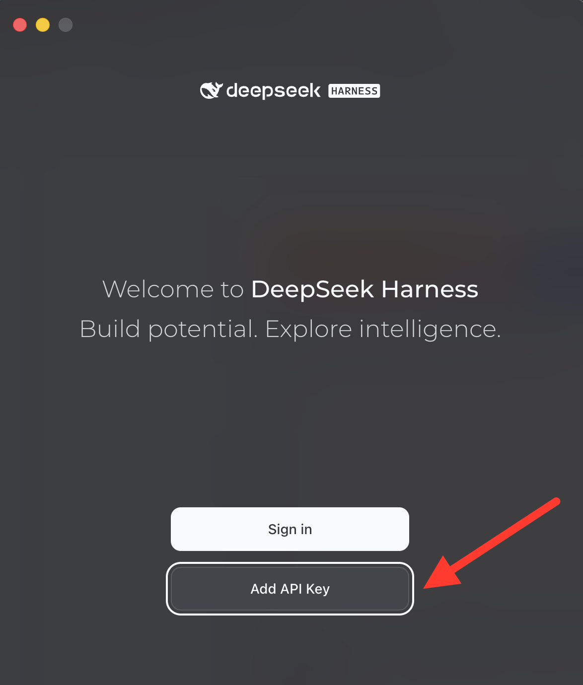 DeepSeek Harness welcome screen with the Add API Key button
