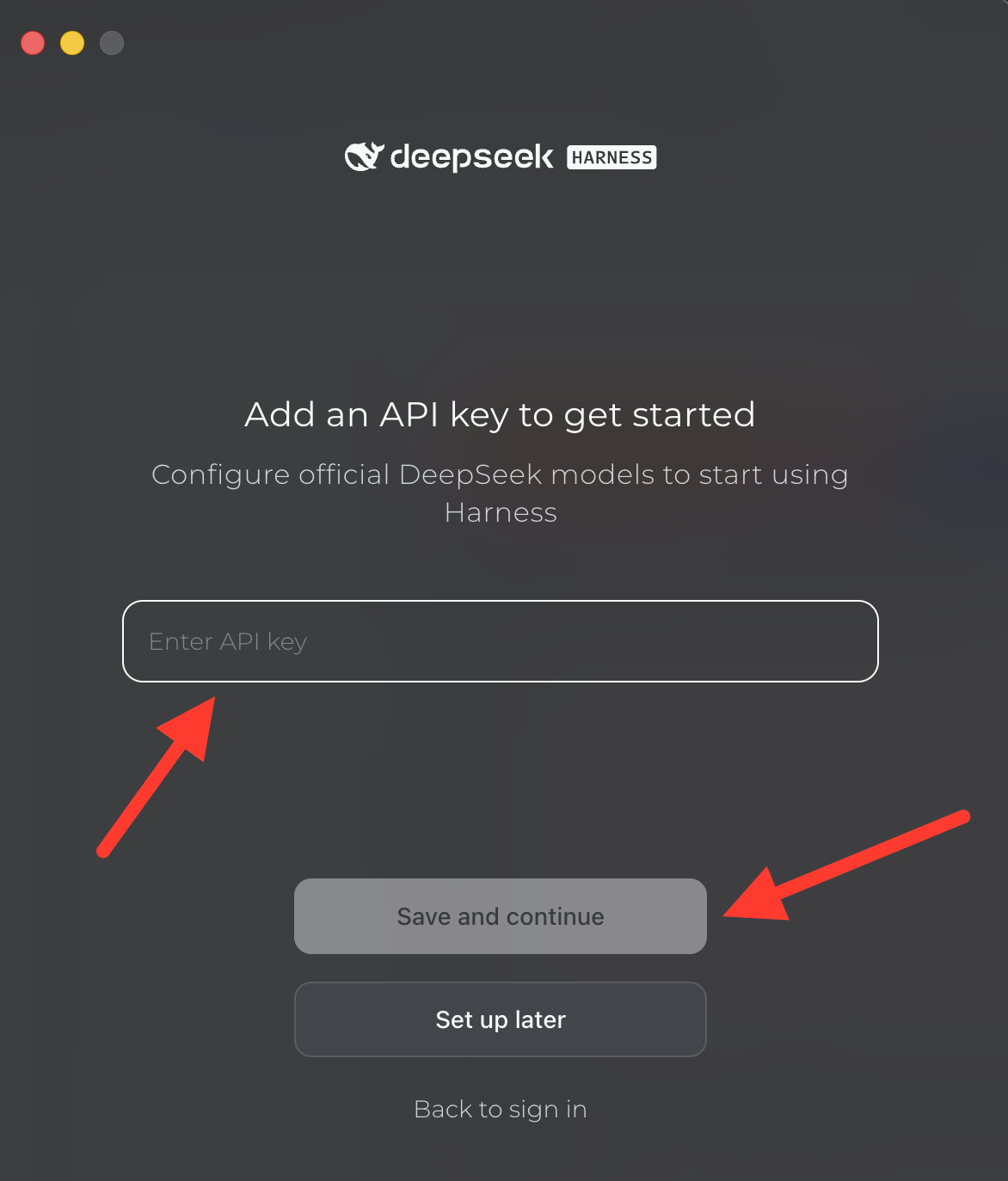 DeepSeek Harness screen with an Enter API key field and a Save and continue button
